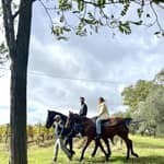 Passeggiata a cavallo tra i vigneti di Montepulciano