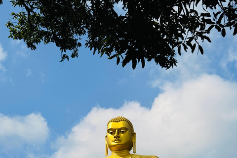 Negombo: Trincomalee Transfer with Dambulla Cave Temple