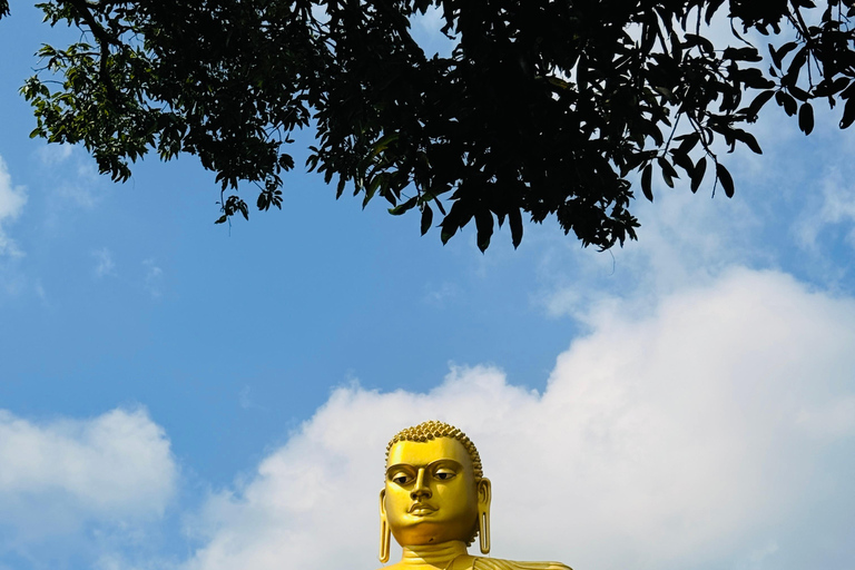 Negombo: Trincomalee Transfer with Dambulla Cave Temple