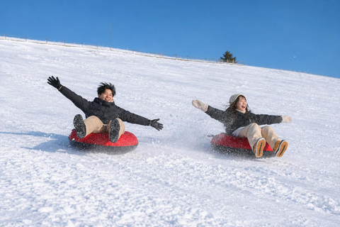 From Seoul: Pyeongchang Trout Festival & Ice Fishing A. Round-Trip Shuttle Bus Only