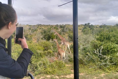 Cape Town: 7-Day Garden Route Tour to Port Elizabeth