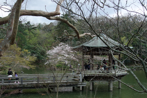 NARITA: Walking Tour, Omotesando street, Narita-san Temple