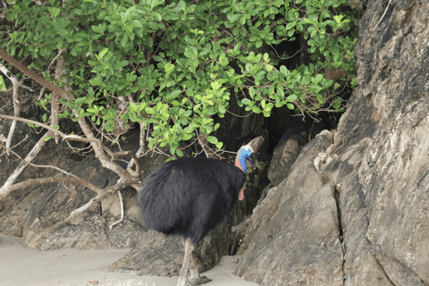 Kuranda Self-Guided: Skyrail & Railway w/ Express Transfers