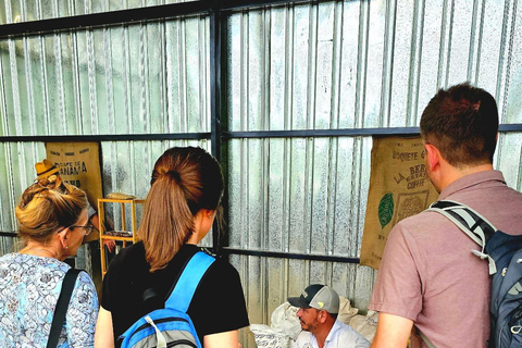 Boquete: Geisha Coffee Plantation Tour with Tasting