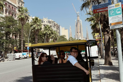 Barcelona: Electric Tuk-Tuk Tour with Local Guide