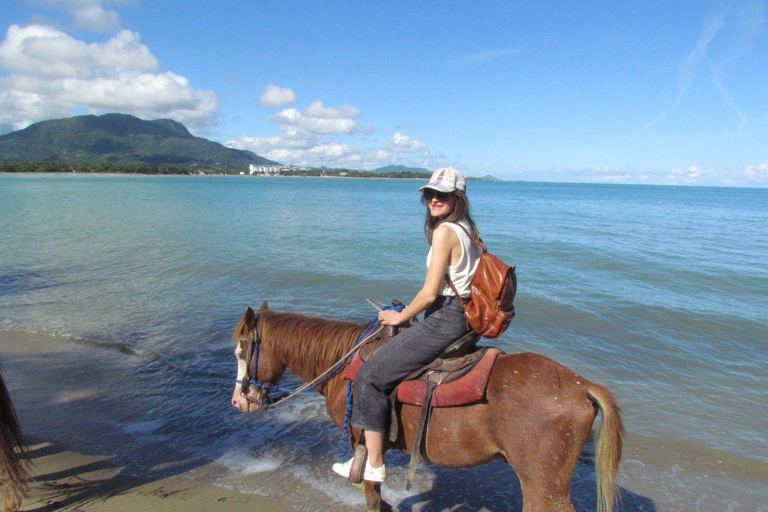Puerto Plata: Horseback Tour of the Beach and Local Community
