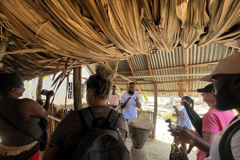 Cartagena: Palenque Africa in Colombia and the mud volcano in the same day Cartagena: Palenque Africa in Colombia and the mud volcano on the same day