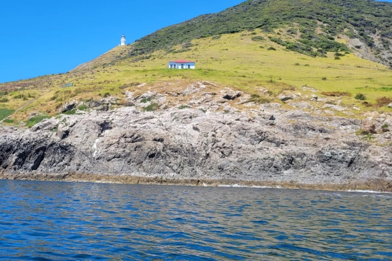 Paihia: Glass Bottom Boat Tour to the Hole in the Rock