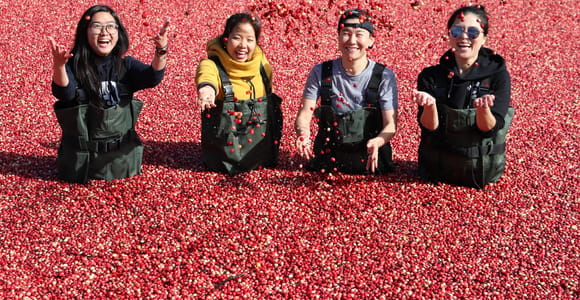 Toronto: Muskoka Cranberry Farm und Hardy Lake Wanderung
