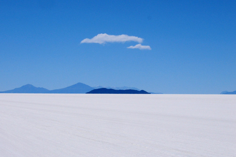 From La Paz: Uyuni Salt Flats & Lagoons 5-Day Tour