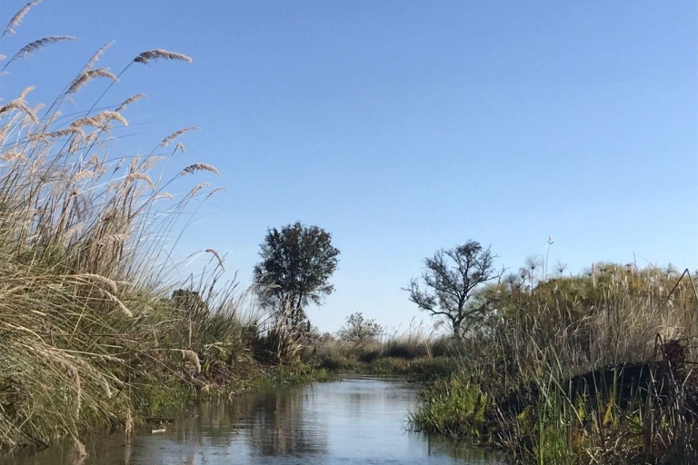 Jednodniowa wycieczka do delty Okawango