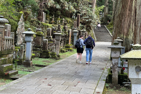 Z Osaki: prywatna wycieczka 1-dniowa z przewodnikiem do Koyasan (miejsce wpisane na listę UNESCO)