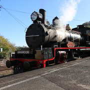Sunshine Coast: VIP Shared Booth Mary Valley Rattler