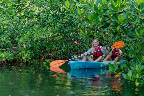 Kayak Tour in Cancun with Photos included