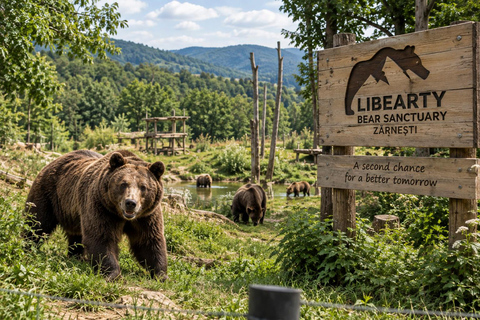 Bucharest: Dracula Castle, Bear Sanctuary & Medieval Brasov Entrance tickets: Dracula, Bear Sanctuary and Brasov