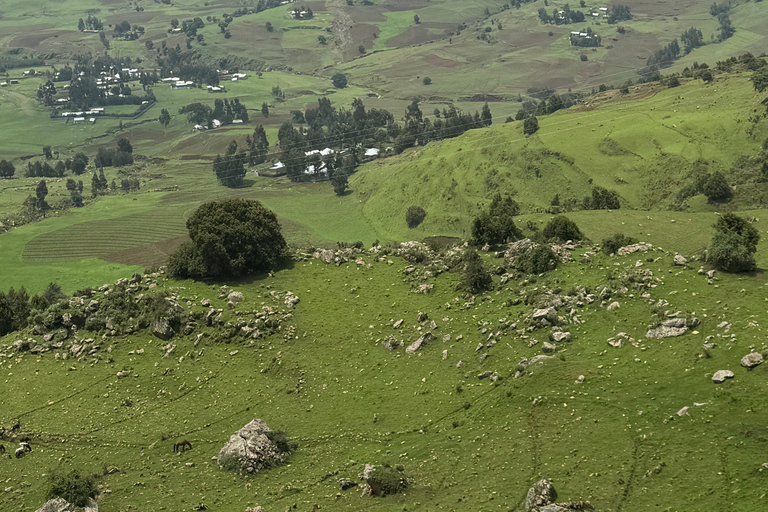 Addis Ababa: Mount Entoto Hike, Injera & Hyena Experience