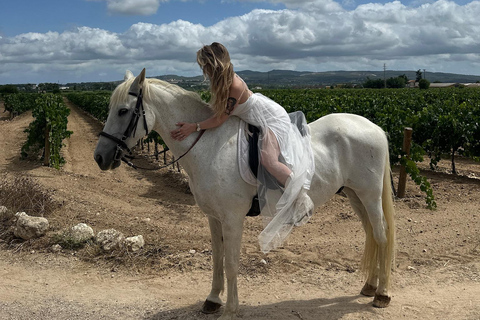 Alicante: przejażdżka konna po górach Maigmó, piknik i transferAlicante: Wycieczka konna na górę Maigmó, piknik i transfer