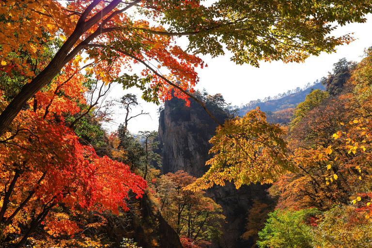 Seoraksan Hiking: Ulsanbawi, Biryong Falls & Finisher Gift B) Hiking Only Shared Tour, Meet at Mt. Seorak