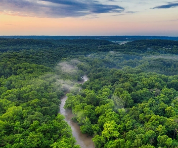 Iquitos: Tour di 3 giorni nella giungla della foresta amazzonica