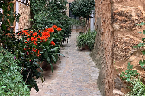 Ville de Fornalutx et randonnée vers les montagnes ferme d&#039;oliviers