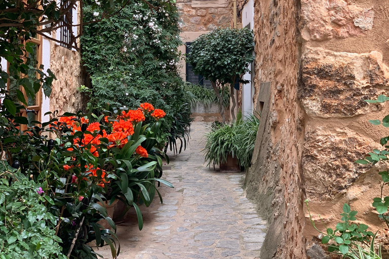 Fornalutx pueblo y senderismo a las montañas granja de olivos