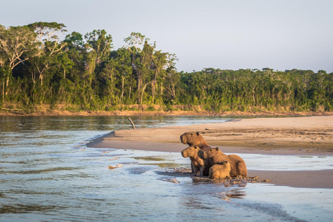 Manu&#039;s Park Odyssey - Embarquez pour une expédition de 4 jours dans la jungle