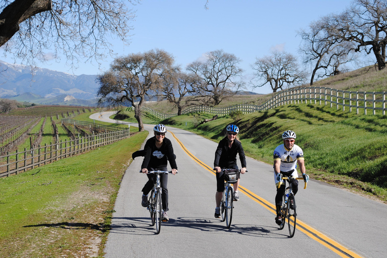 Los Olivos: Excursión en E-Bike + Comida en el Viñedo con Degustación de Vinos