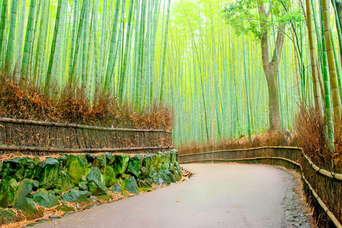 Osaka/Kyoto: Arashiyama, Nara Park & Fushimi Inari Day Tour Kyoto Departure: Private Sightseeing Tours