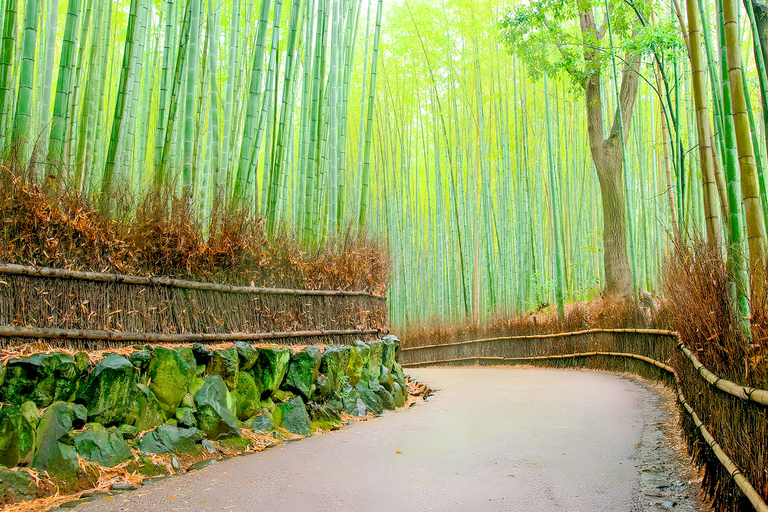 Osaka/Kyoto: Arashiyama, Nara Park & Fushimi Inari Day Tour Kyoto Departure: Private Sightseeing Tours