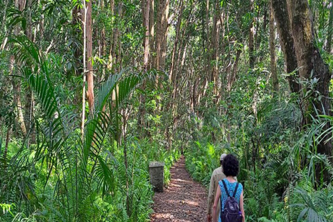 ZANZIBAR: Las Jozani, jaskinia Salaam, The Rock i Blue LagoonWYCIECZKA PRYWATNA BEZ ODBIORU Z HOTELU I TRANSPORTU POWROTNEGO