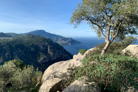 Valldemossa: Stadt und die schönsten Aussichtspunkte