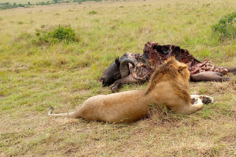 Nairobi National Park And Giraffe Center Afternoon Safari (Copy of) Nairobi National Park And Giraffe Center Afternoon Safari