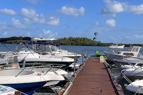 Explore the mangrove and Pointe Sable in Guadeloupe