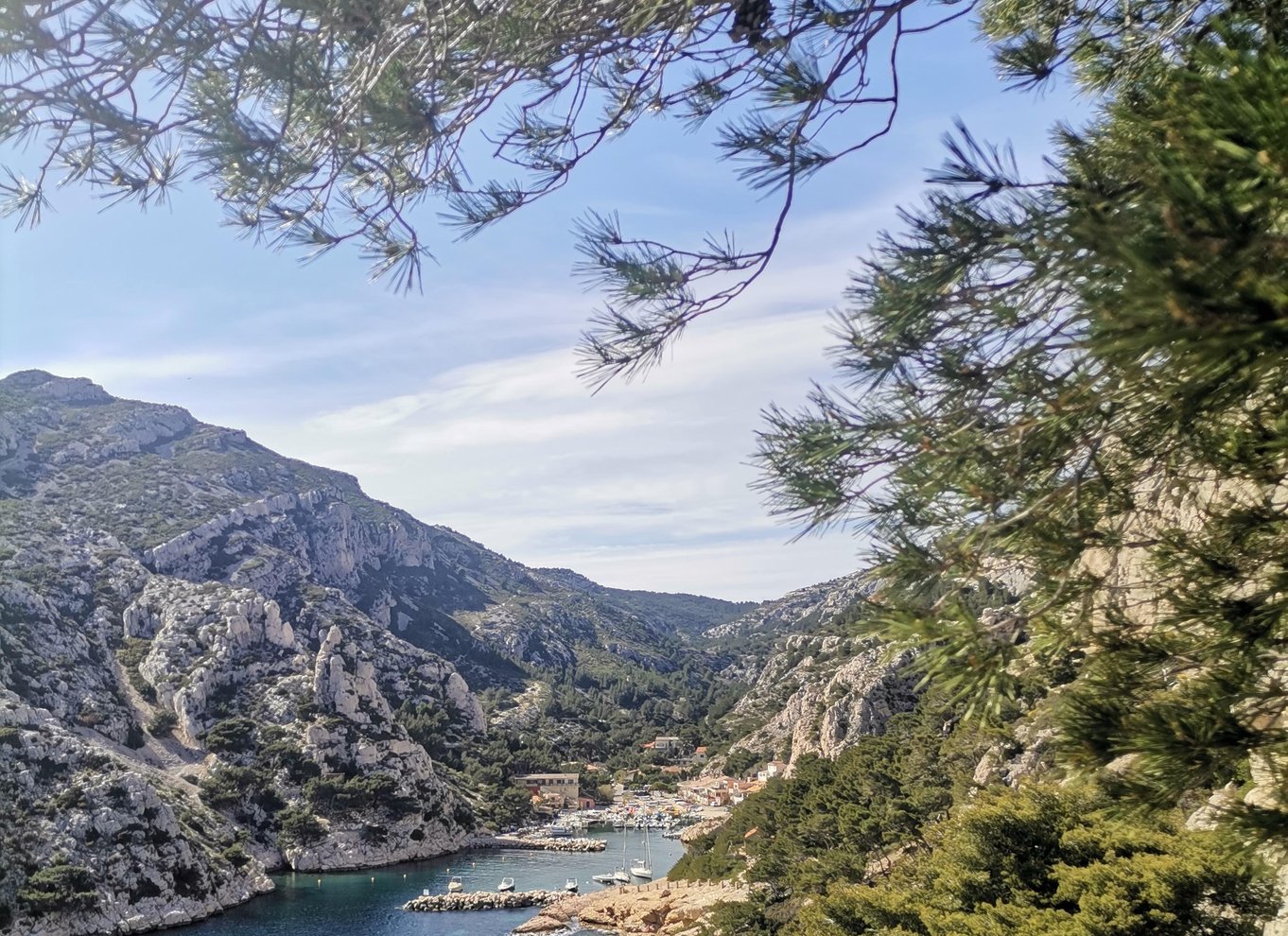 Marseille: Guidet vandretur i Calanques Nationalpark med picnic