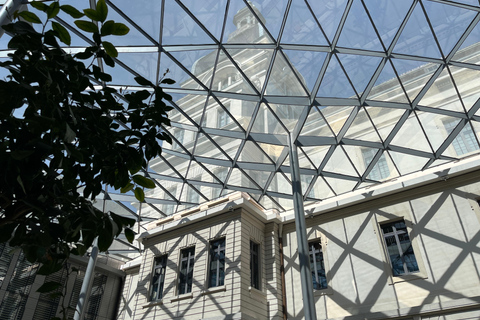 Intro to Lyon - Dynamic Walking Tours (Local Guide)