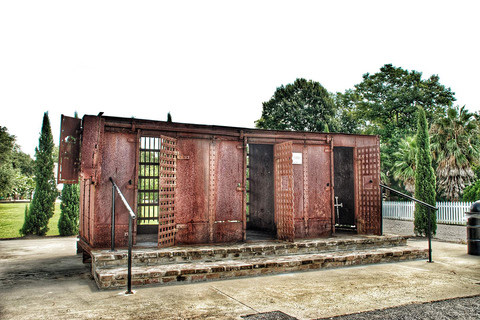 New Orleans: Swamp Boat Ride & Whitney Plantation Tour