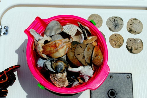 Charleston: Morris Island Lighthouse Eco-Boat Tour