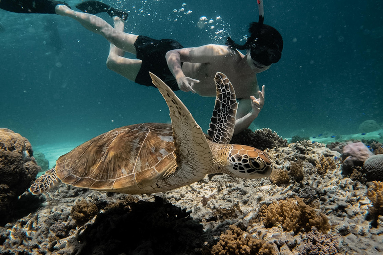 De Gili Air : Snorkeling com tartarugas e estátua subaquáticaViagem privada de snorkeling - 4 horas