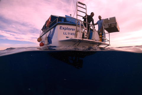 Larnaca: Snorkelling Zenobia Wreck