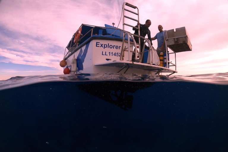 Larnaca: Snorkling på Zenobia- vraket