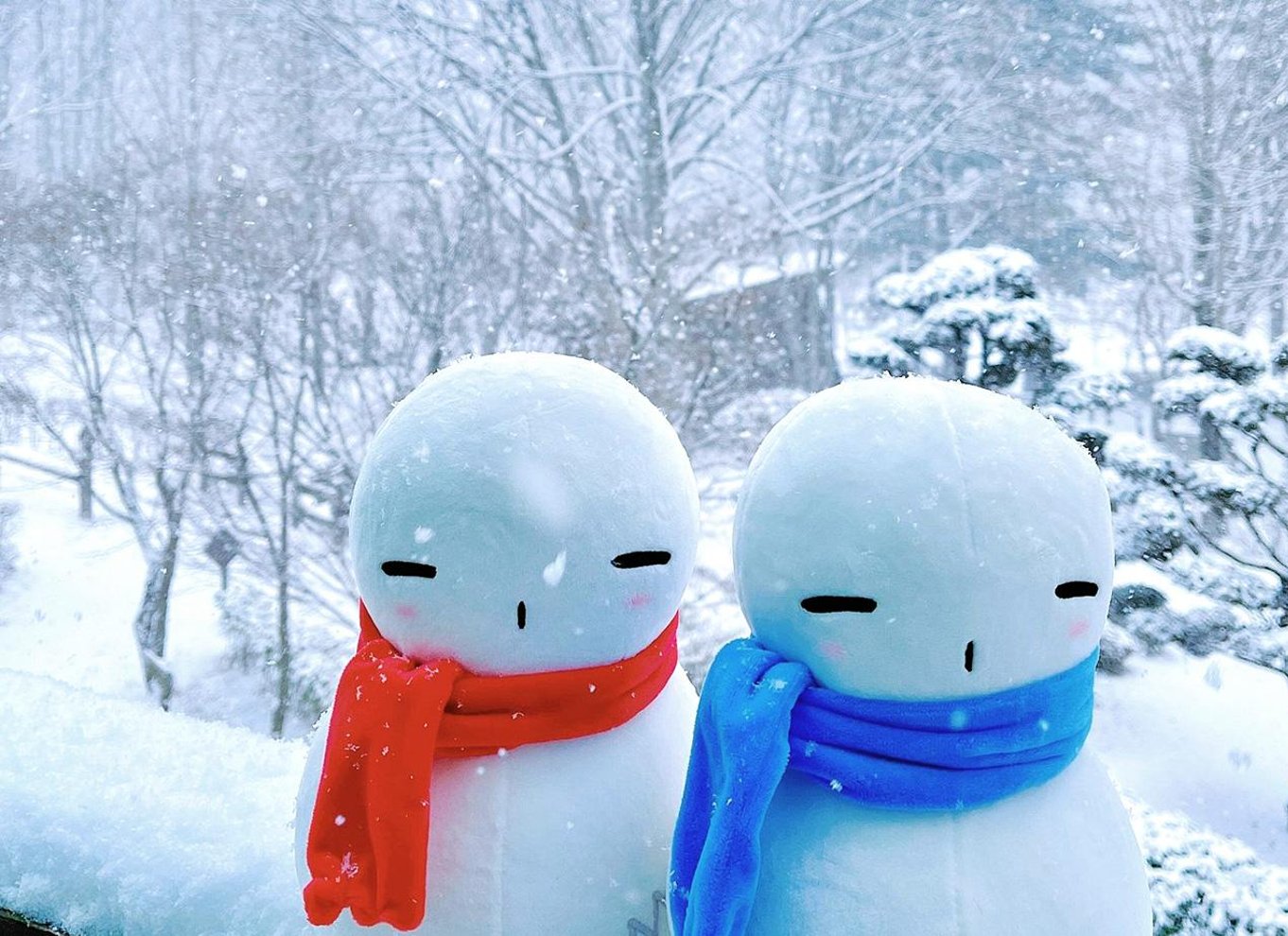 Fra Seoul: Dagstur til Seoraksan Nationalpark og Nami Island