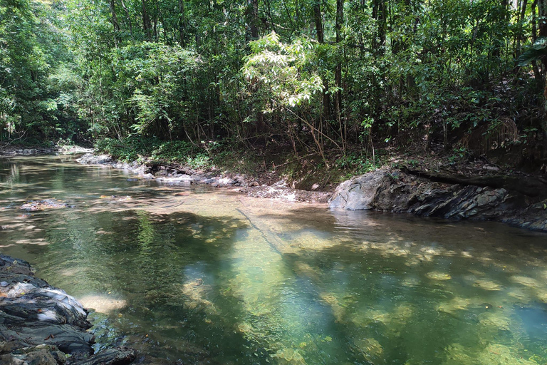 Visita al Jardín del Colibrí y la Piscina Natural