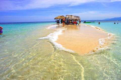 Vanuit Puerto Plata: Cayo Arena Catamaran Tour met Snorkelen