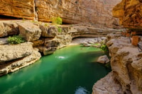 Agadir or Taghazout, Paradise Valley with Lunch & Transfers - Housity