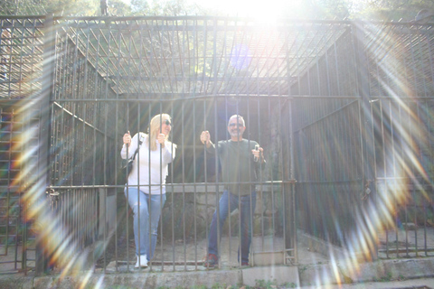 Los Angeles: 2.5hr MiniCar Guided Discover LA Tour YOU drive