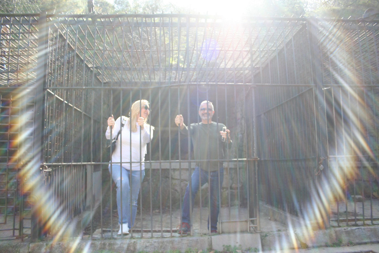 Los Angeles: 2.5hr MiniCar Guided Discover LA Tour YOU drive