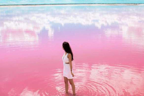 Cancun: Las Coloradas & Rio Lagartos Day Tour & À la carte