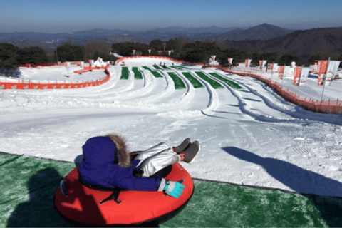 Snowyland with Strawberry Picking & Alpacas OR Garden Garden Group Tour, Meet at Myeongdong