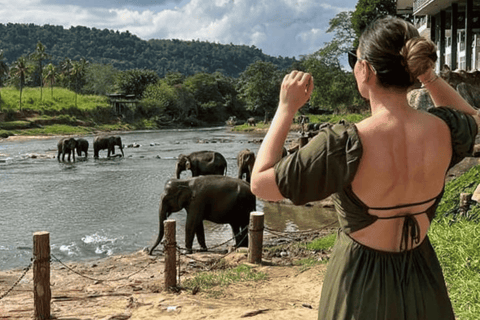 Colombo Airport ⇄ Sigiriya/Kandy/Ella/Yala Private Transfer Private Car with Driver – Up to 50 km