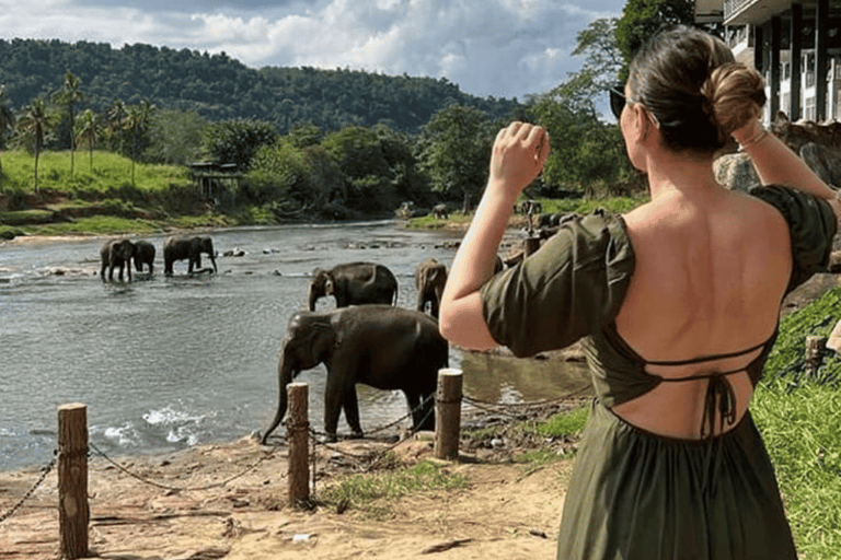 Colombo Airport ⇄ Sigiriya/Kandy/Ella/Yala Private Transfer Private Car with Driver – Up to 50 km